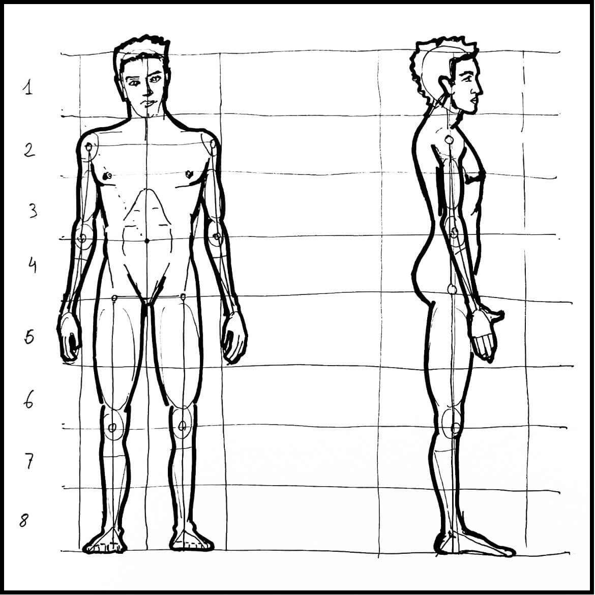 Cómo aprender a dibujar la Figura humana y sus Proporciones
