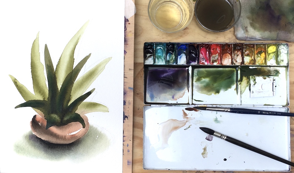 Cómo pintar plantas a la Acuarela. 1: Aloe Vera