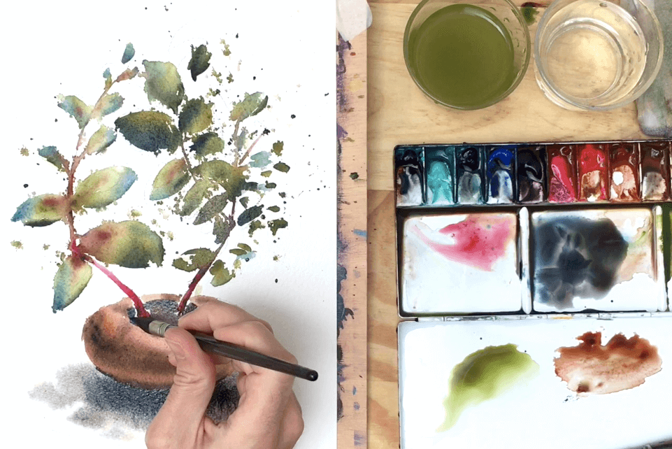 Cómo pintar plantas a la Acuarela. 2: Arbusto con salpicado y tallo rojo