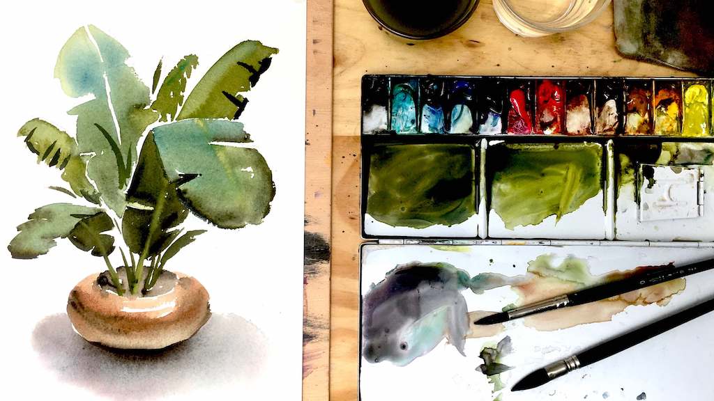 Cómo pintar plantas a la Acuarela: 5. Platanera a la acuarela