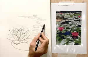 Como dibujar un Nenúfar