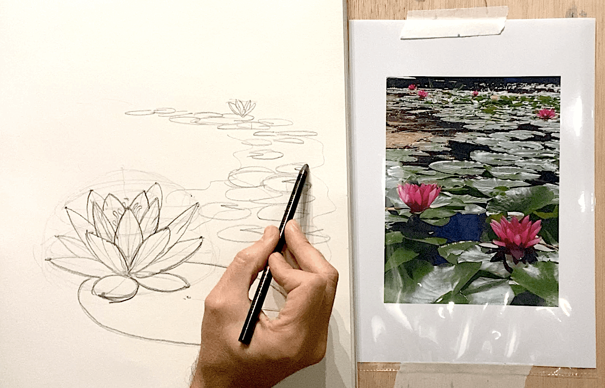 Cómo dibujar un Nenúfar
