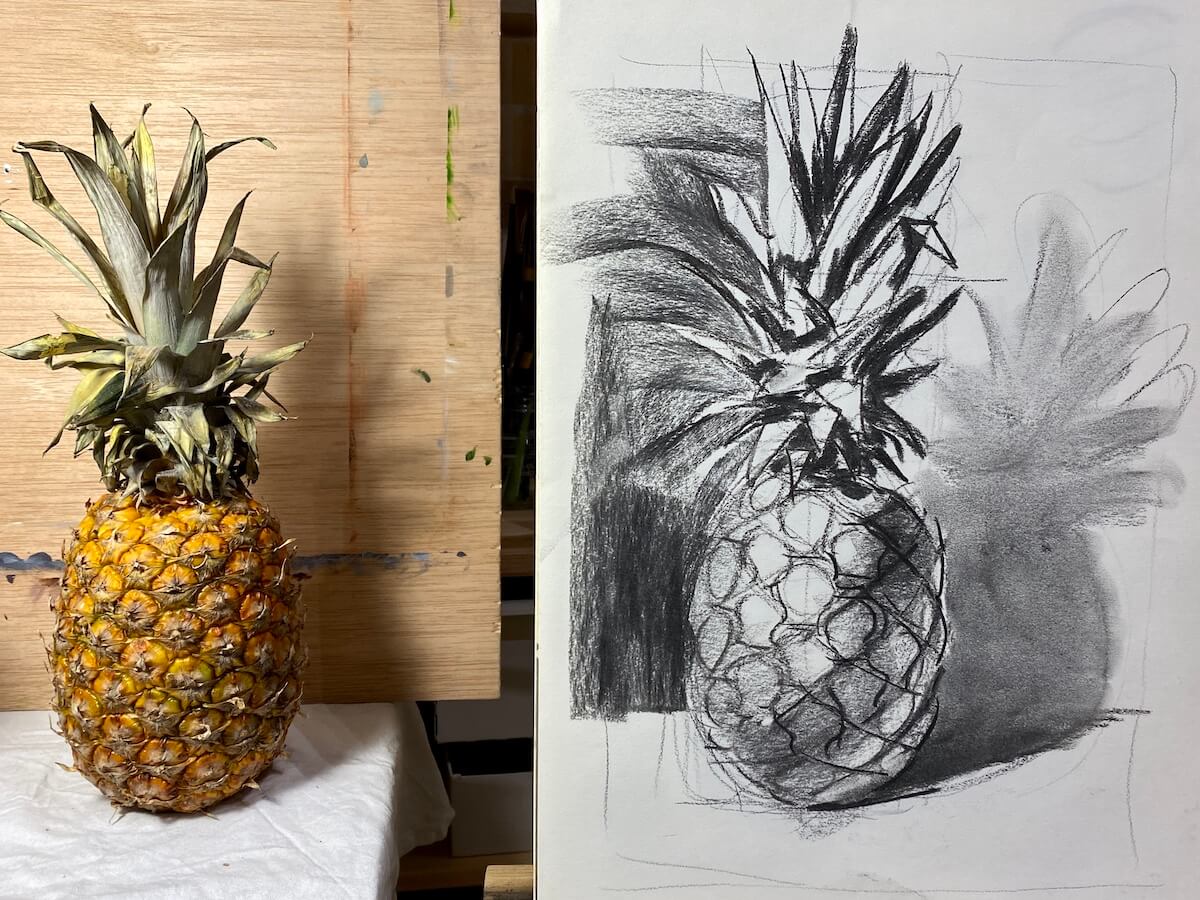 Dibujo y sombreado de una Piña del natural al carboncillo